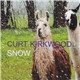 Curt Kirkwood - Snow